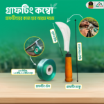 গ্রাফটিং কম্বো
